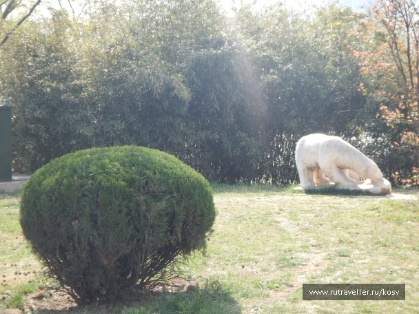 photo 742844