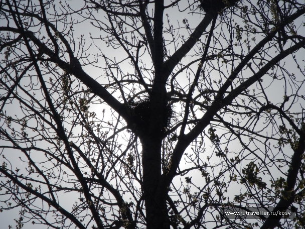 photo 742845
