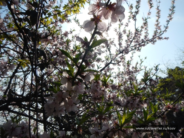 photo 742849