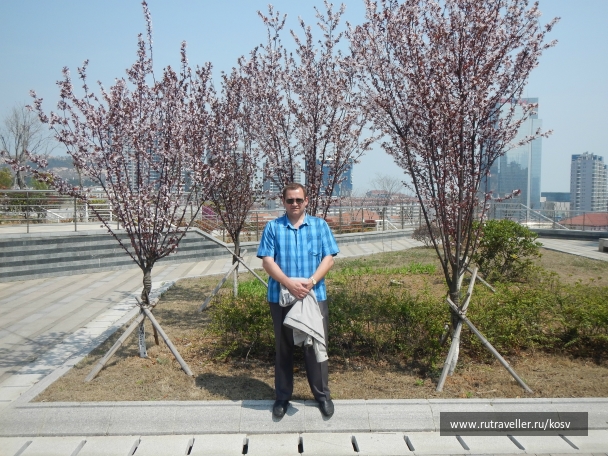 photo 742857