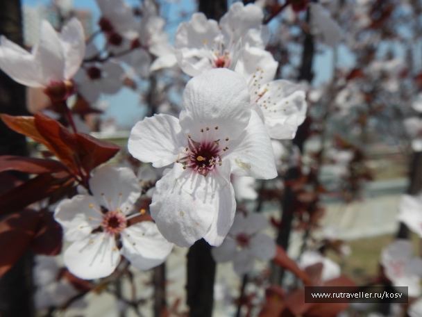 photo 742859
