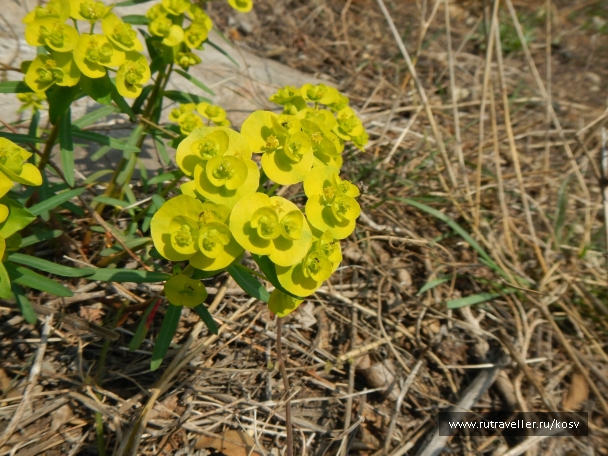 photo 742860