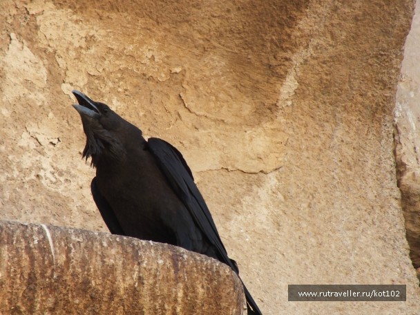 photo 754935