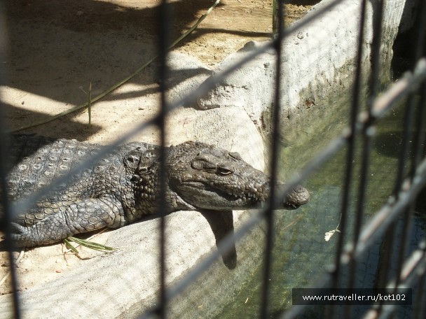 photo 754937