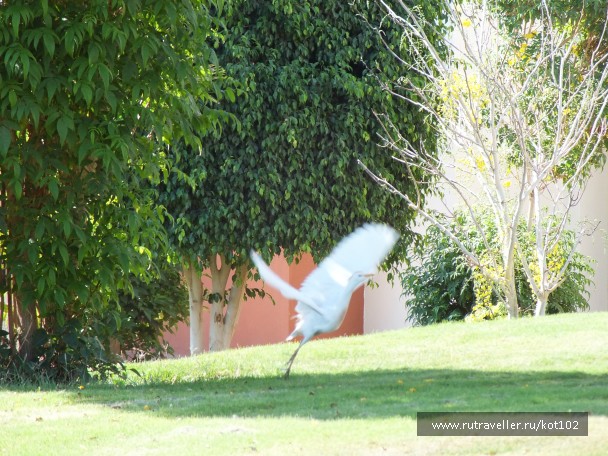 photo 755043