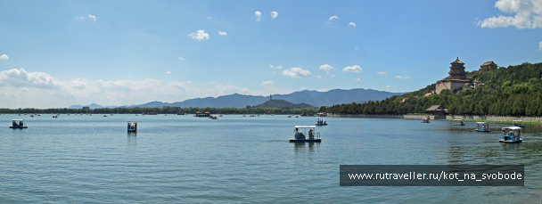 photo 225519
