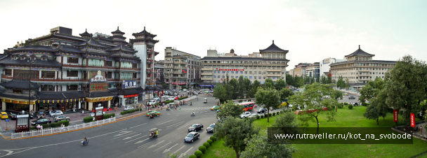 photo 225521