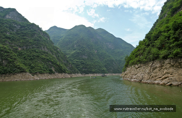 photo 225522
