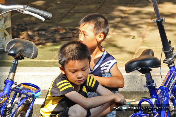 photo 225532