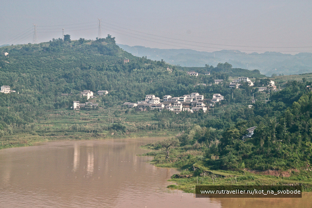 photo 225535