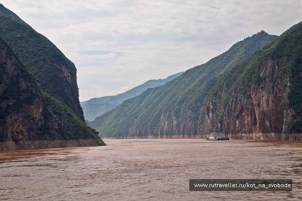 photo 225580