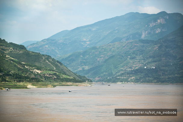photo 225586