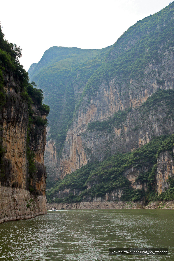 photo 225597