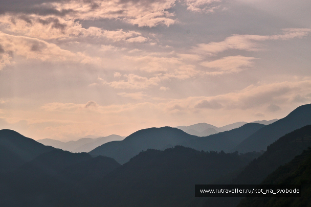 photo 225637