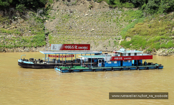 photo 225662
