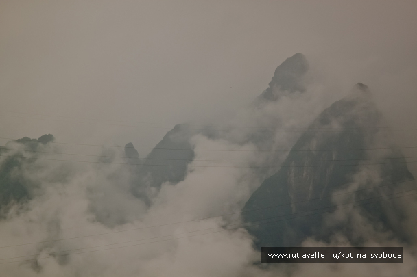 photo 225678