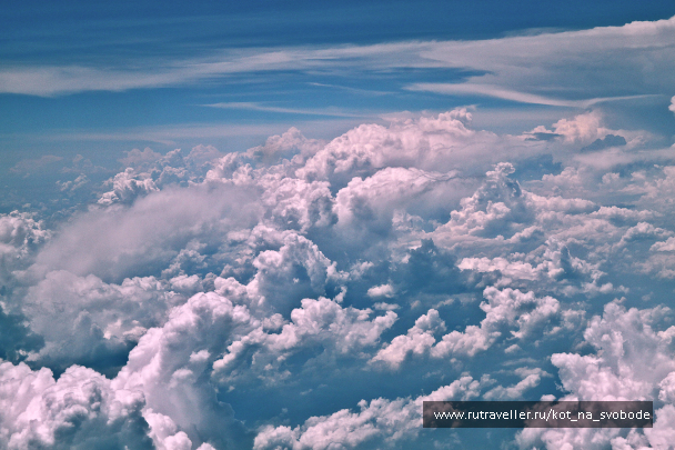 photo 225685