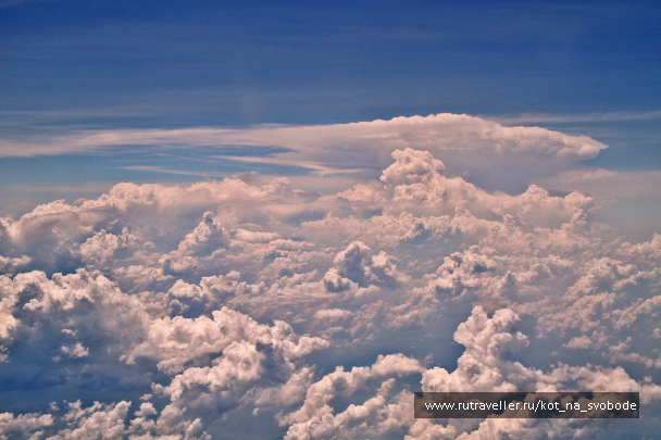 photo 225687
