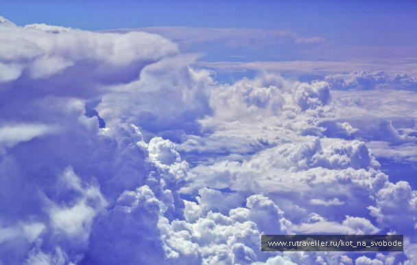 photo 225714