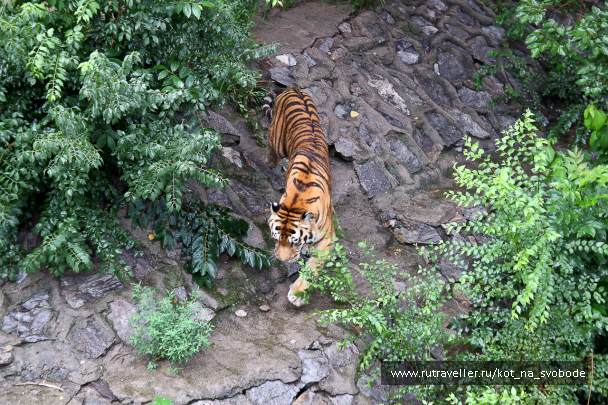 photo 225732
