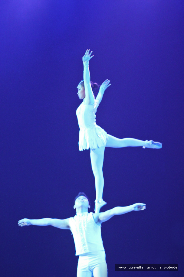 photo 225736