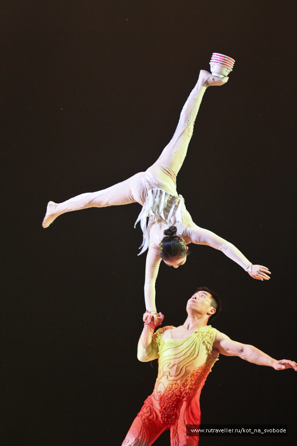 photo 225737