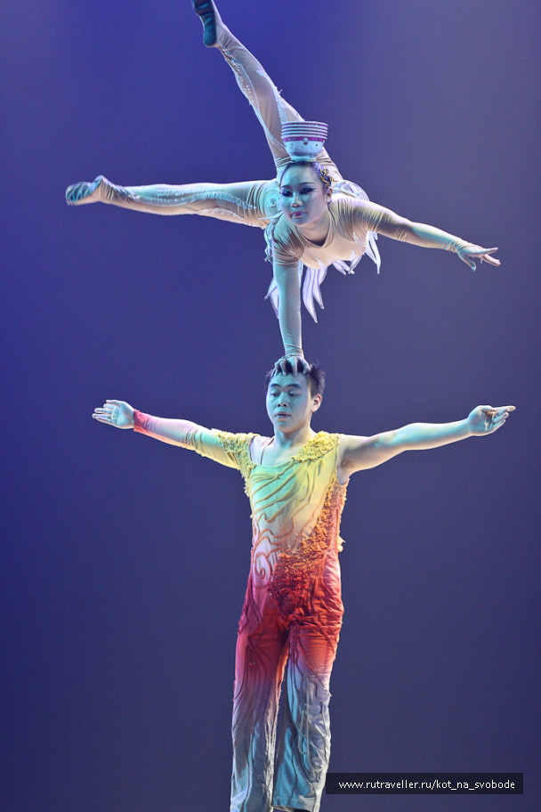 photo 225738