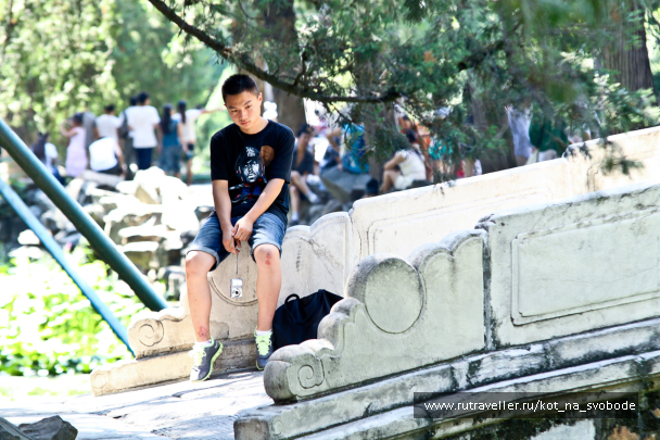photo 225762