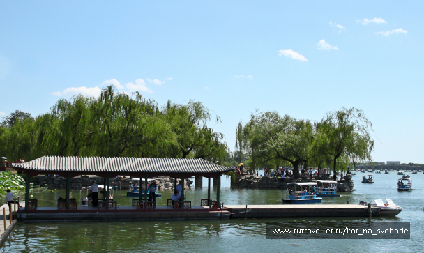 photo 225765