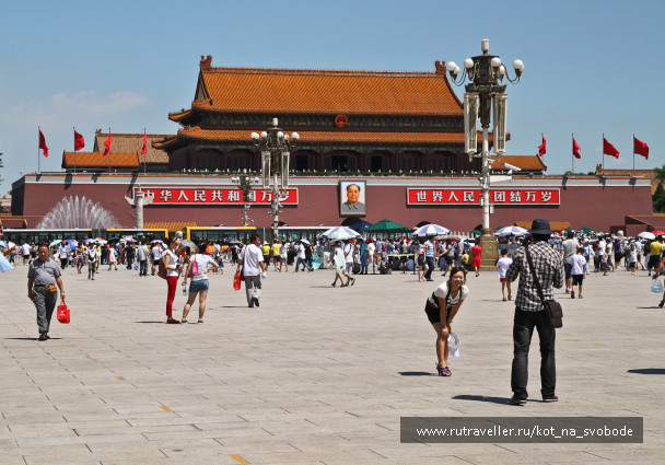 photo 225781