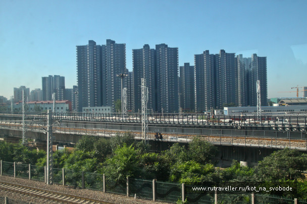 photo 225782