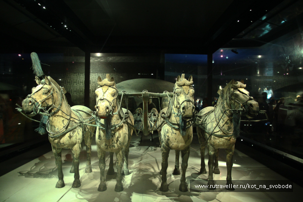 photo 225785