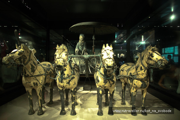 photo 225786