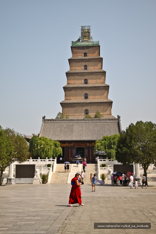 photo 225796