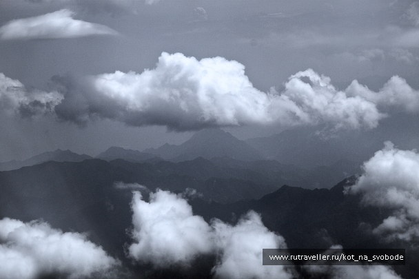 photo 225811