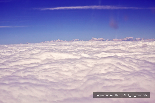 photo 225812