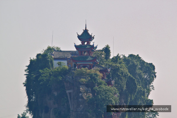 photo 225817