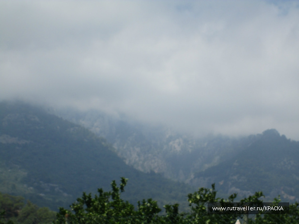 photo 442021