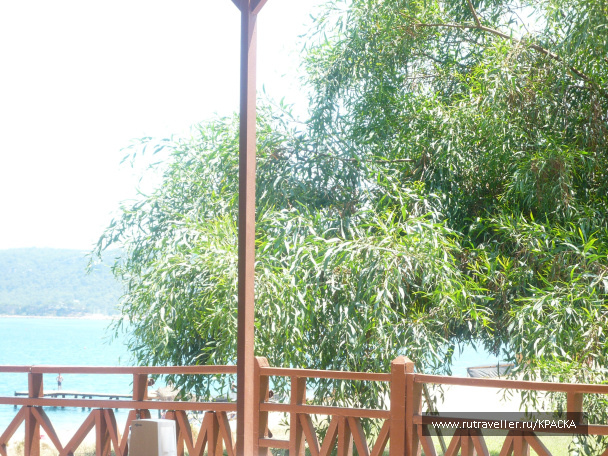 photo 442025