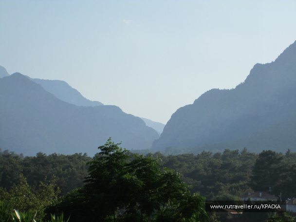 photo 442026