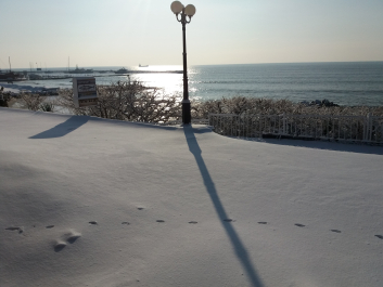 photo 1436691