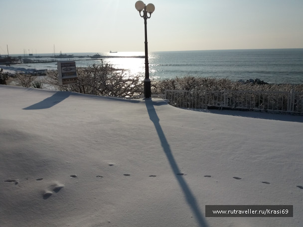 photo 1436691