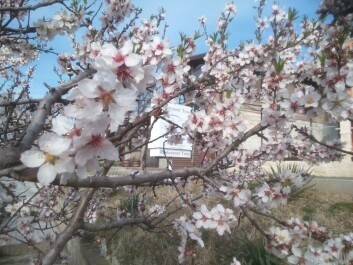 photo 1436692
