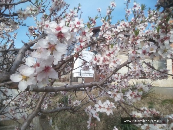 photo 1436692