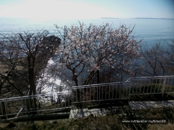 photo 1436693