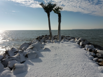 photo 1436694