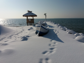 photo 1436695