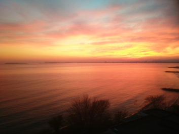 photo 1436697