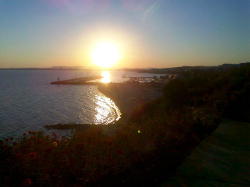 photo 637841