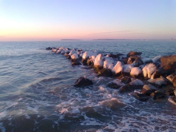 photo 973029